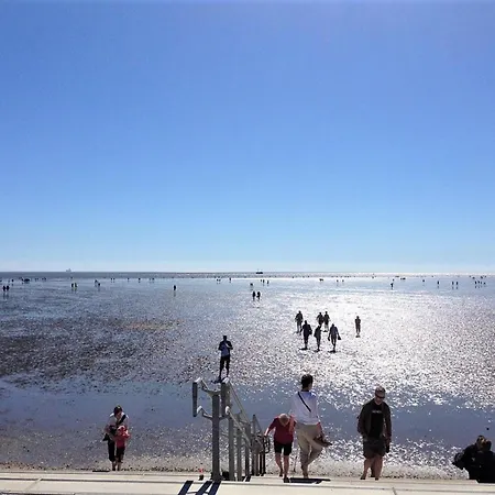 Amrum * Büsum